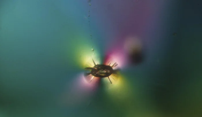 Zircon under strain